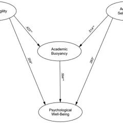 Diagram showing how learning agility, academic self-efficacy, and academic buoyancy influence psychological well-being.