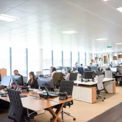 A busy open office space with employees working at desks. Natural light streams in from large windows, illuminating the modern workstations.