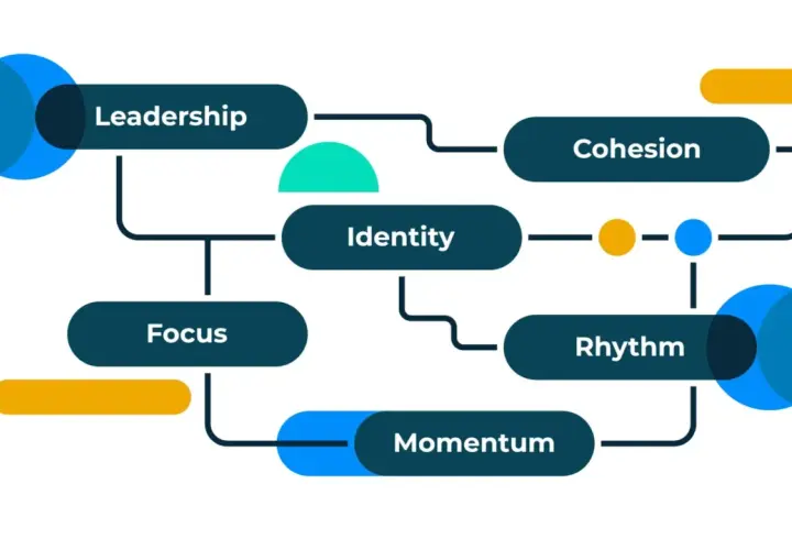 Diagram showing key elements for how to improve an organization's performance: Leadership, Focus, Identity, Cohesion, Rhythm, and Momentum.
