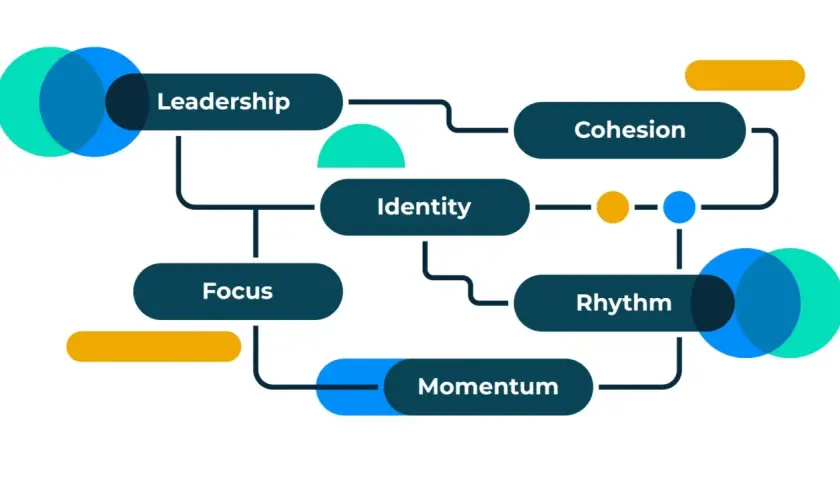 Diagram showing key elements for how to improve an organization's performance: Leadership, Focus, Identity, Cohesion, Rhythm, and Momentum.
