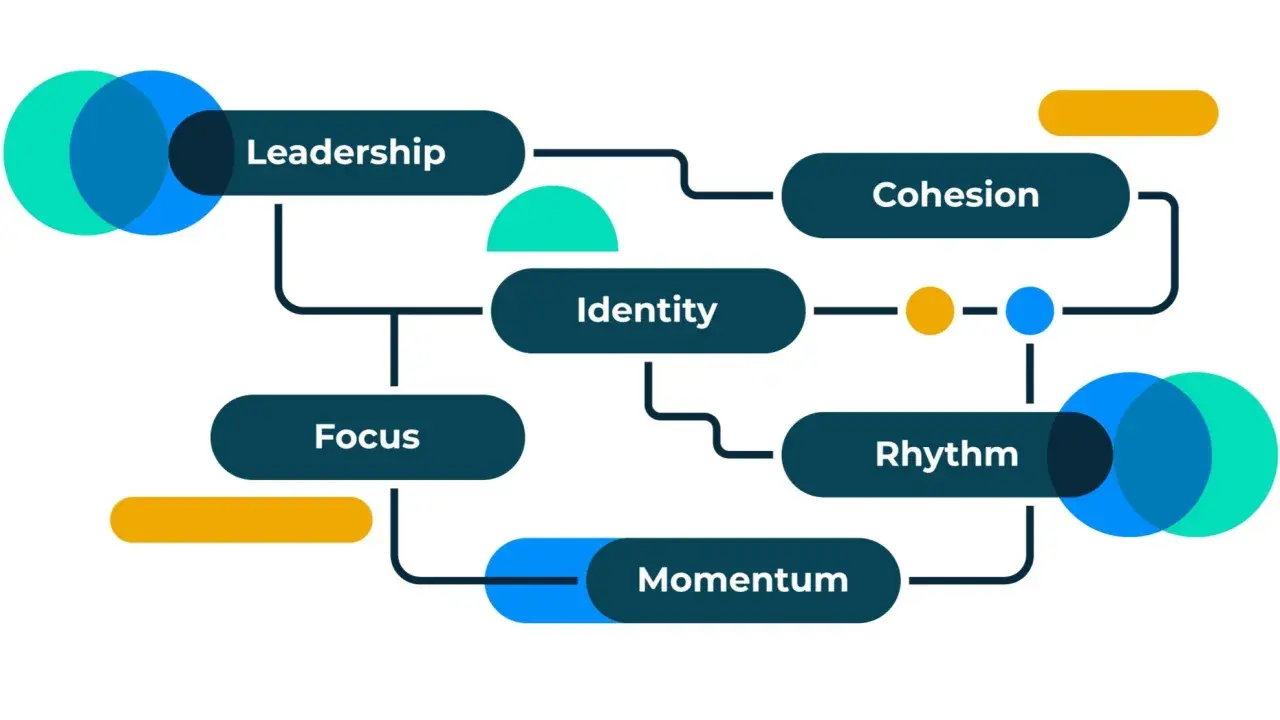 Diagram showing key elements for how to improve an organization's performance: Leadership, Focus, Identity, Cohesion, Rhythm, and Momentum.