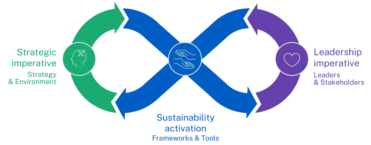 Diagram illustrating sustainable business transformation: Strategic imperative (Strategy & Environment) fuels Sustainability activation (Frameworks & Tools), which drives Leadership imperative (Leaders & Stakeholders) in a continuous loop.