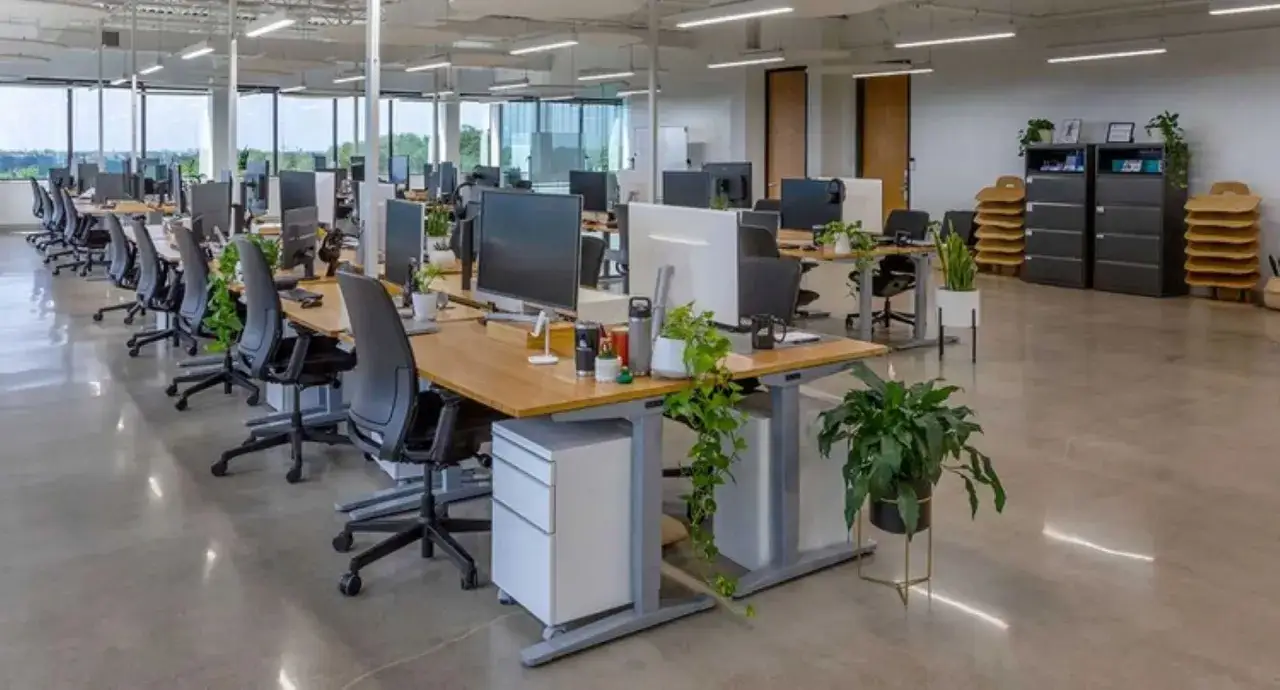 Modern office with rows of desks, computers, and plants. This organized space reflects excellent administrative skills in its layout and upkeep.